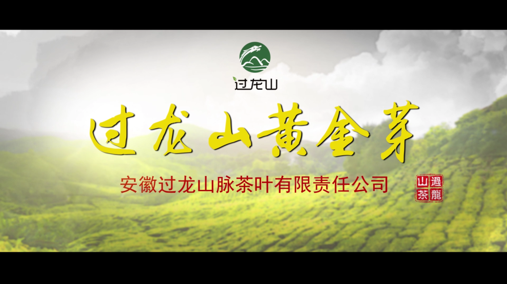 我公司完成過龍山黃金芽茶葉宣傳片